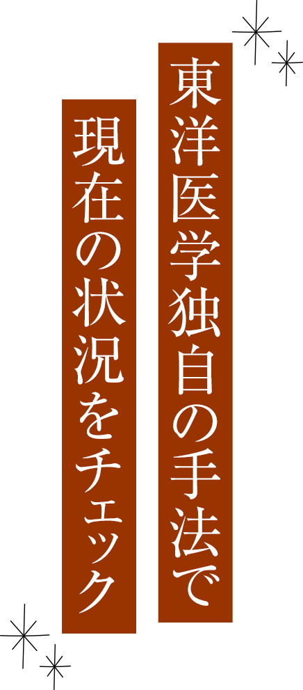 東洋医学独自の手法で現在の状況をチェック