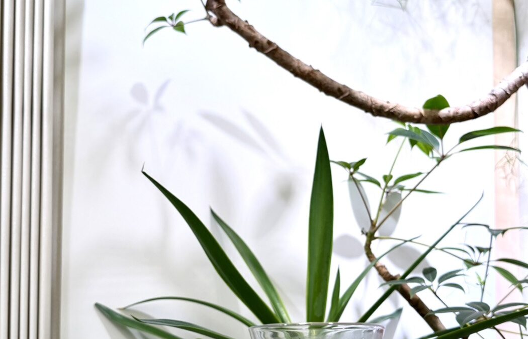 Acupuncture in Nagoya Fushimi | Holistic Care for Pain and Stress Relief