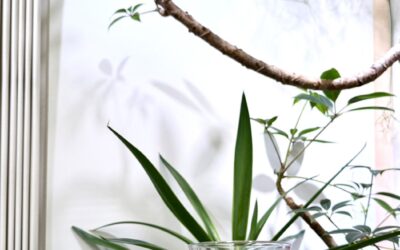 Acupuncture in Nagoya Fushimi | Holistic Care for Pain and Stress Relief