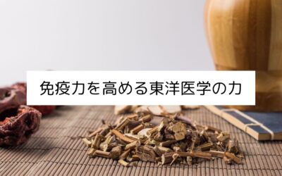 免疫力を高める東洋医学の力｜名古屋・伏見で健康をサポート