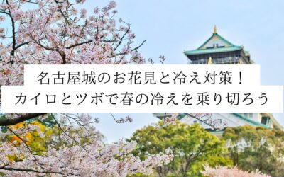 【名古屋・伏見】名古屋城のお花見と冷え対策！カイロとツボで春の冷えを乗り切ろう