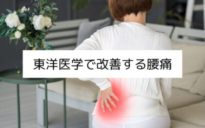 東洋医学で改善する腰痛｜名古屋・伏見の鍼灸院